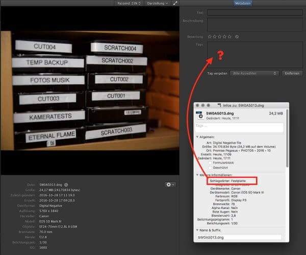 Da fehlt noch was: Es wäre schick, wenn Kyno bei Fotos auch die Keywords einlesen würde, die mit den Dateien gespeichert sind.