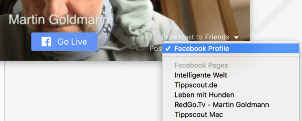 Liste von Seiten und Gruppen für den Livestream mit Ecamm