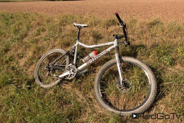 Mountain Bike in der Wiese